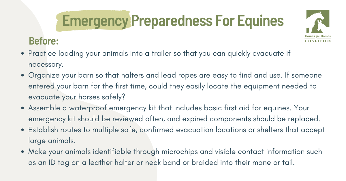 Emergency Preparedness Before- 1 series
