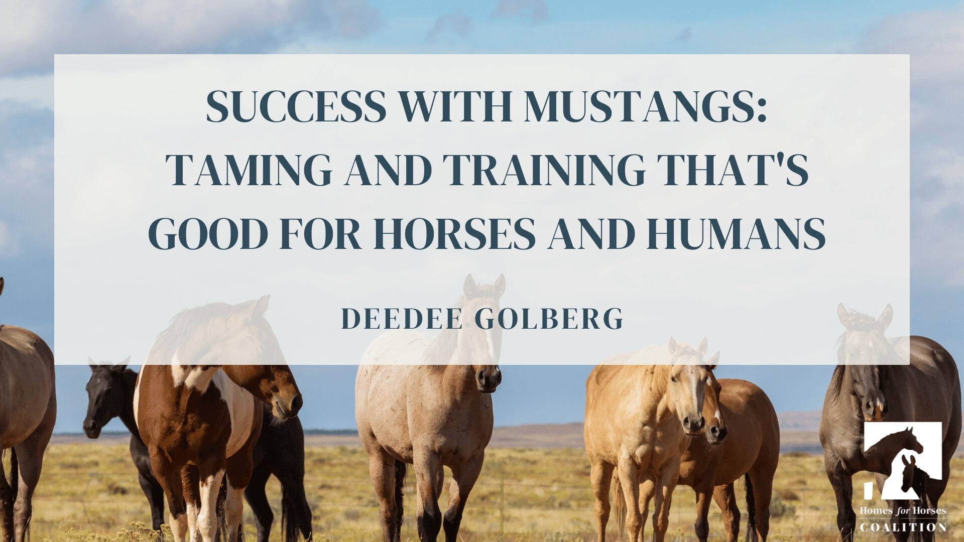 Success with Mustangs