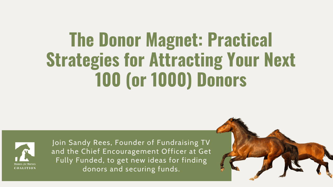 The Donor Magnet: Practical Strategies for Attracting Your Next 100 (or 1000) Donors