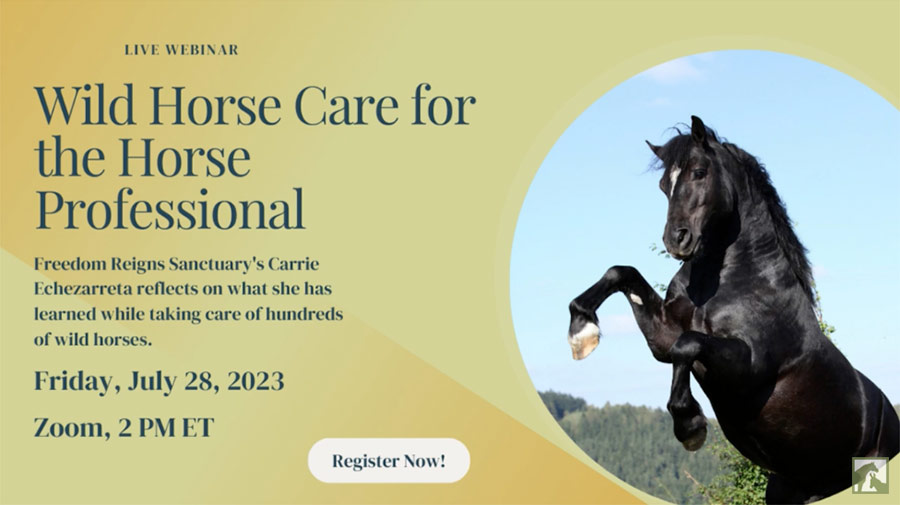 Wild Horse Care for the Horse Professional